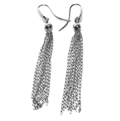 Silver Dangly Earrings